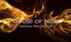 Session Ball Busting Game POV