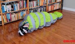 MinxGrrl - Camping Bag Captive (WMV Format)