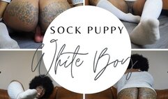Sock Puppy White Boy