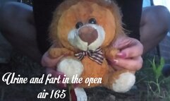 Urine and fart in the open air 165