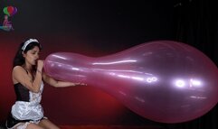 Nova’s Huge 24" B2P Shoutout 4K (3840x2160) Blow to Pop