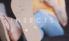 Insects - Danielle Maye HQE