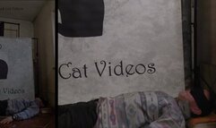 Alice trampling while telling her day (two cameras)