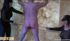 LUDOVICA LUXURY - BROKEN CANE part. 2 -mobile