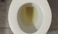 GOLD PEE IN TOILET