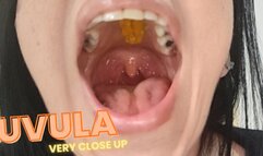 An intimate look at my uvula
