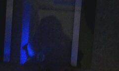 I WISH FOR FINANCIAL GAIN IN THE AMOUNT DAILY IN TOTAL OF MY BODY WEIGHT