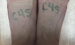 BLONDE HARDWOOD FLOOR PROFIT PERCENT SITTING