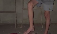 MASTER J PUBLIC FOOT DOM