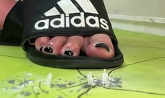 FIR3 giga slides crush millions