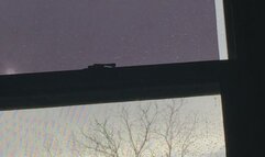 *MSN THE ZONE DISCONNECT ROOM NOISE* PROFIT PERCENT SITTING