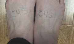 MSN THE ZONE BLOND HARDWOOD FLOOR *MSN THE ZONE DISCONNECT ROOM NOISE*