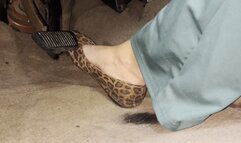 Sunday Drive in Leopard Print Flats