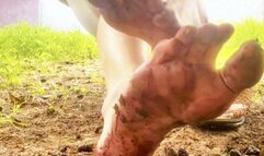 Summer Berry Crush Fun - Dirty Bare Feet Playing & Squishing Blackberries Under The Tree