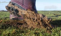 you're Here to Serve