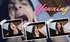 Yawning with enthusiasm