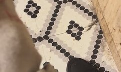 Master of Fetishes Sexy Feet in White Silk Stockings MP4