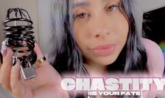 Chastity Is Your Fate