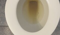 MSN THE ZONE GOLD *MSN THE ZONE DISCONNECT ROOM NOISE*