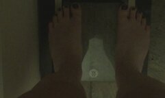 MSN THE ZONE FINANCIAL GAIN WISH DAILY IN MY WEIGHT TOTAL *MSN THE ZONE DISCONNECT ROOM NOISE*