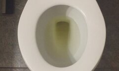 MSN THE ZONE GOLDEN PISS *MSN THE ZONE DISCONNECT ROOM NOISE*