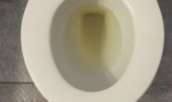 MSN THE ZONE GOLDEN PEE *MSN THE ZONE DISCONNECT ROOM NOISE*
