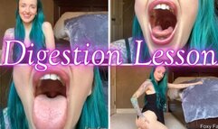 Digestion Lesson mp4
