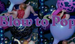 Kalisan B2P 24" and 36"