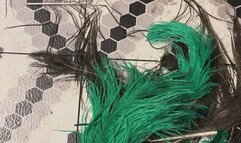 Master of Fetishes Fur Fetish MP4