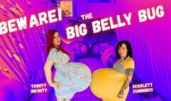 Beware! The Big Belly Bug w Scarlett Cummings| BELLY FETISH BIG BELLY BELLY EXPANSION GIANTESS FETISH LAUGHING MOANING NON NUDE BELLY RUBBING BELLY BUMPING WADDLING GIGGLING DOUBLE DOMME