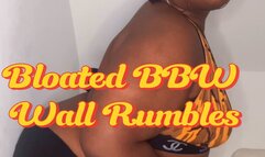 BBW Long Farts – Stained Wall Fetish – Audio Focus