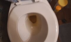 MizzErotique Peeing from my POV