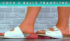 Goddess Amber - Punishing Your Cock & Balls Under My Dirty Birkenstock Sandals (D77) - Bug Cam
