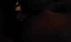 Orgy with my girlfriend and her BBW friend