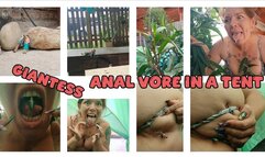 GIANTESS ANAL VORE IN A TENT