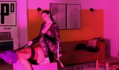 Sexy Black Lace Bodysuit Pegging