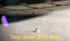 POV Giantess Dirty Boot Crush - Tiny Under Dirty Soles Teased & Crushed