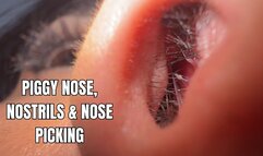 Piggy nose, nostrils and nose picking close-up - OnlyVanessa