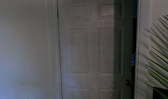 Lolla swallows a fan