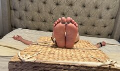 Talented Tonya Reverse Spread Tie Falaka Punishment