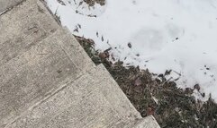 Public Humiliation MP4