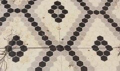 Master Hair Brushing Fetish MP4