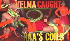 Velma CAUGHT In KAA’S COILS: COSPLAY DID PLUSHIE STRUGGLE WITH UPSKIRT INSERTIONS IN 1080