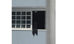 missclare cute blonde curvy natural big boobs pov windown and pov inside