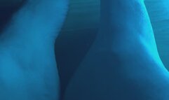 I Like Megadeth â€“ My Feet