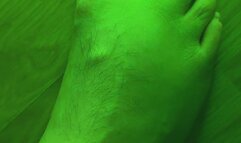 Megadeth & My Bare Soles