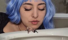 Sexy cruel Giantess captured a tiny man to clean her Toilet sandals toothbrush and worn thong
