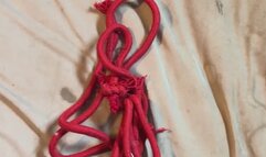 Master Bondage Rope MP4