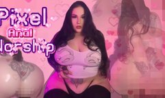 Pixel Anal Worship