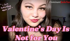 Valentines Day Is Not for You (40min V-Day Clip Compilation)